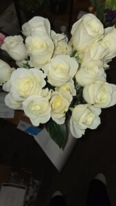 White Roses